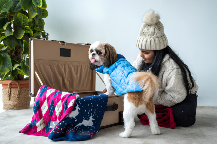 Choosing Comfortable Clothes Every Season Pet
