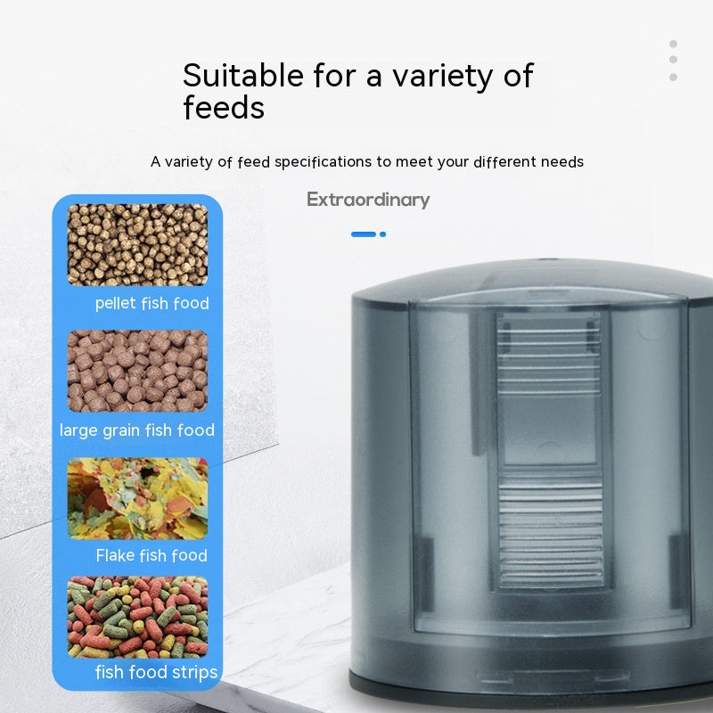 Feeder Fish Tank Intelligent Timing: The Ultimate Solution for Your Aquarium