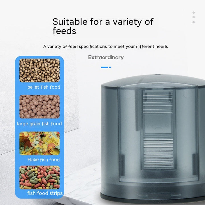 Feeder Fish Tank Intelligent Timing: The Ultimate Solution for Your Aquarium