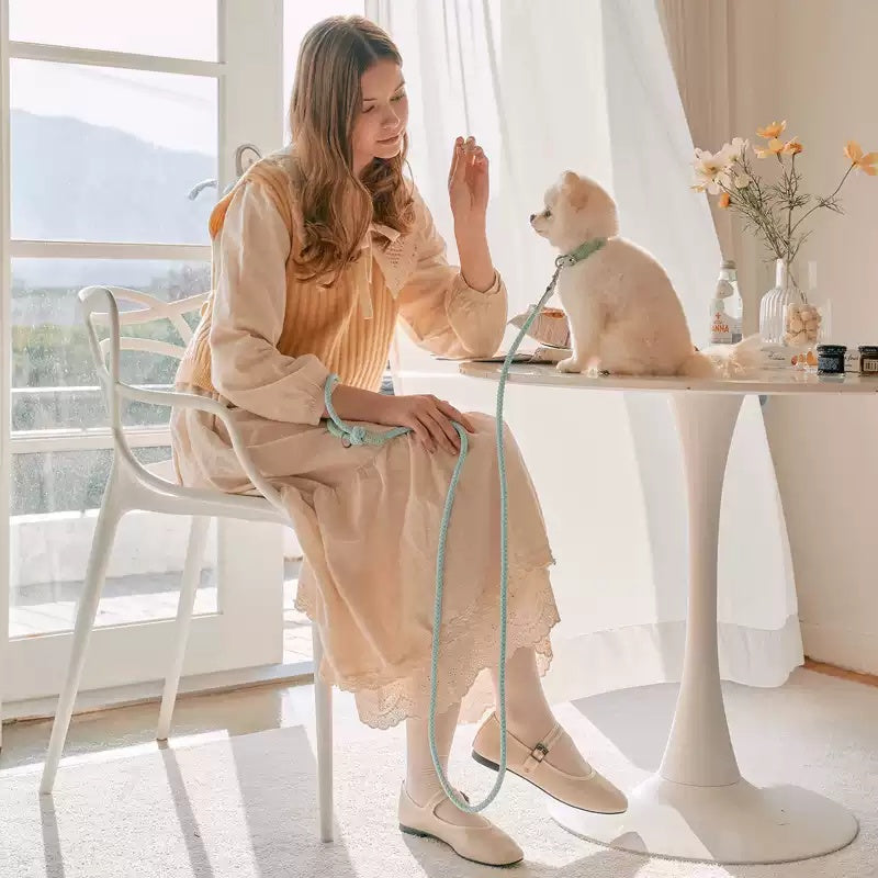 The Perfect Companion for Your Furry Friend