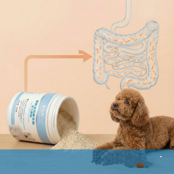 Why Your Dog Deserves the Best Gut Health with Our Nutritional Supplements