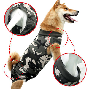 Fashion Personality Multi-color Pet Clothes: A Must-Have for Your Furry Friend