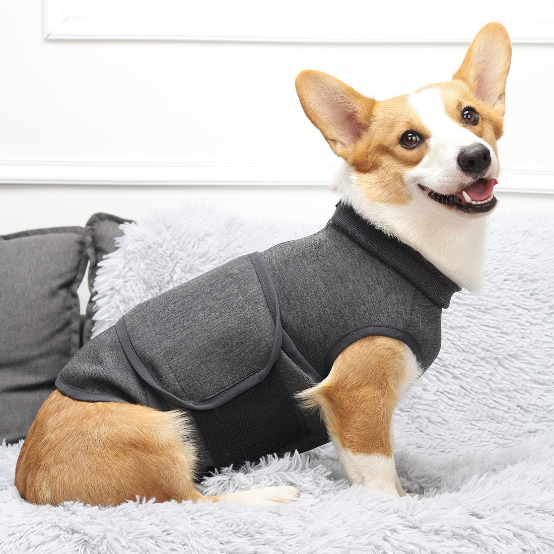 c161af3ad3a0c5a4b20af5aa7b783321