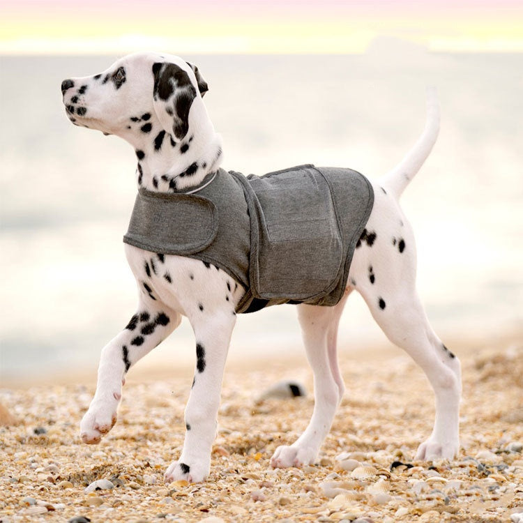 d3ae48547e10003caf960ee42a5806b